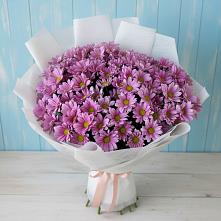 Букет цветов из:  Хризантемы #REPLACE_PRED# Мингрельской