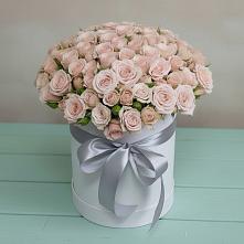 Цветочная композиция из Розы в шляпной коробке #REPLACE_PRED# Мингрельской