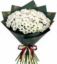 Букет цветов из:  Хризантемы #REPLACE_PRED# Мингрельской