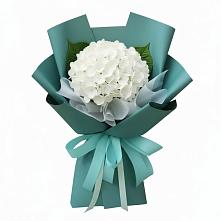 Букет цветов из:  Гортензия в Мингрельской